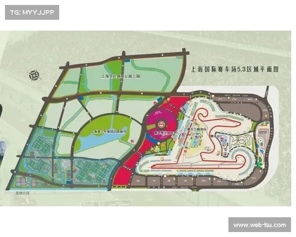 开放预期明确，体育领域国际合作深化